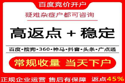 SEM托管服务实战案例：打造高效广告投放策略
