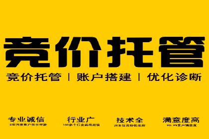 百度推广竞价策略解析及实战案例